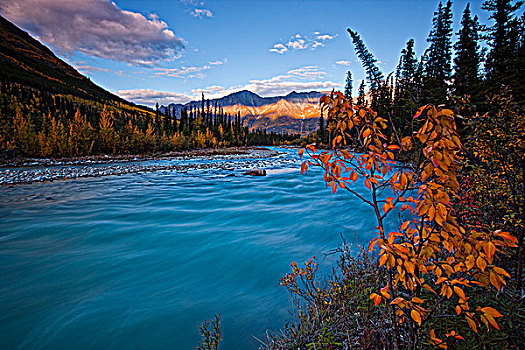 秋色,河,育空,加拿大