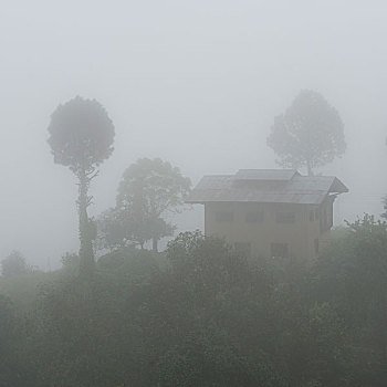 雾,上方,风景,不丹,普那卡,山谷