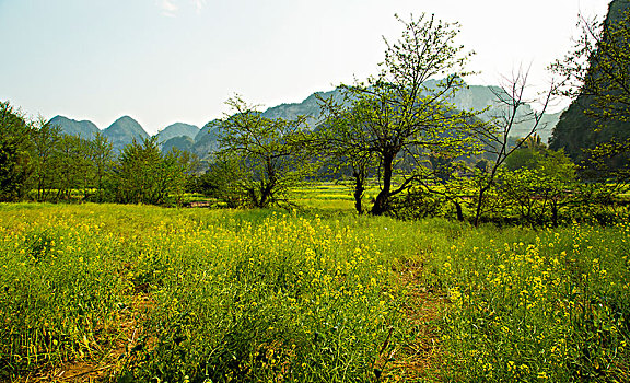 田园风光