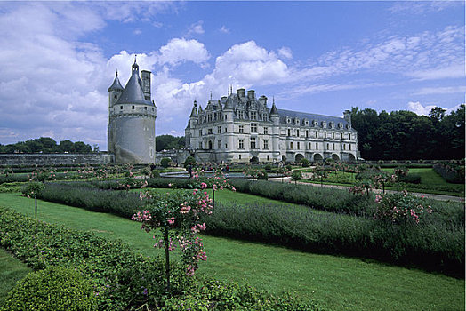法国,卢瓦尔河,区域,舍农索城堡,城堡,花园