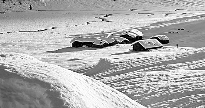 小屋,积雪,冬天,山谷,国家公园,伦巴第,意大利
