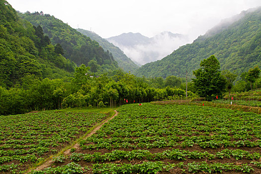 山区