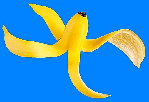 香蕉皮,蓝色背景,奢华