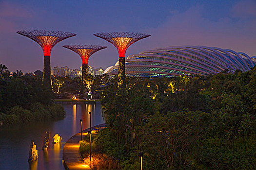 新加坡,花园,海洋,塔,夜晚,画廊