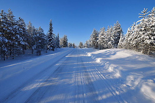太阳,上方,积雪,道路,冬天,库萨莫,芬兰