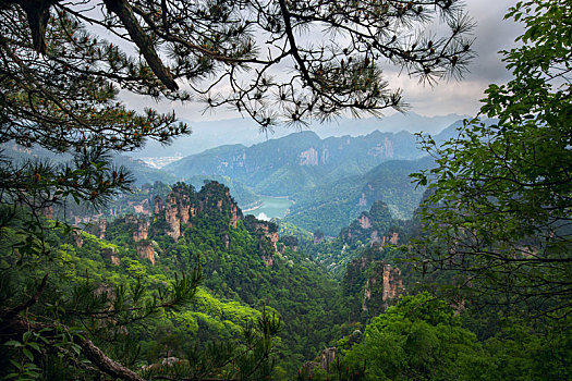 张家界,天子山