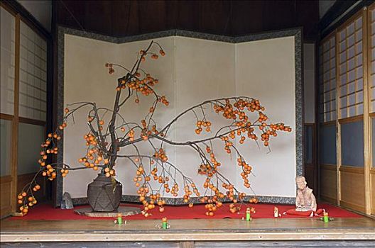 树,庙宇,京都,关西,本州,日本