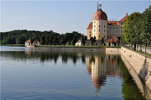 湖,城堡,莫里茨堡,德累斯顿