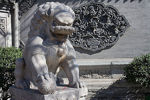 北京白云观的石狮子