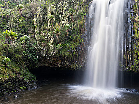 瀑布,肯尼亚,非洲,大幅,尺寸