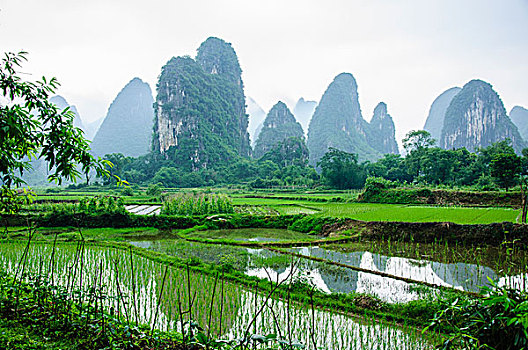 美丽的喀斯特地貌田园风光