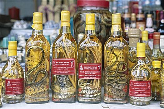 瓶子,蛇,草药,葡萄酒,胡志明市,西贡,越南
