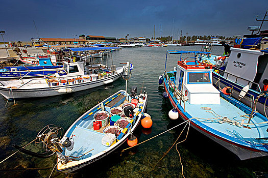 船,捕鱼,港口,帕福斯,塞浦路斯,希腊,欧洲