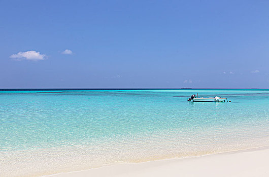 船,停泊,晴朗,平和,海洋,马尔代夫,印度洋