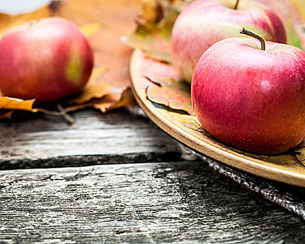 秋天,红苹果,枫叶,老,木桌子,感恩节,概念,微距,浅,深度,地点