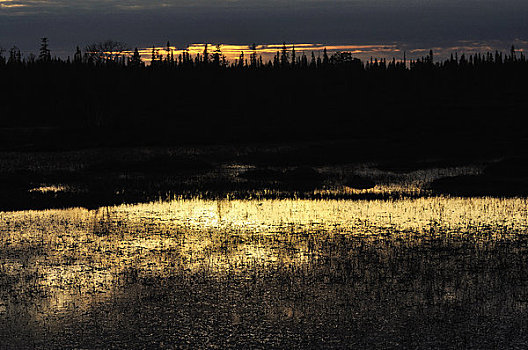 夕阳湖,拉普兰,芬兰