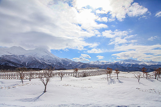 北海道无人雪景