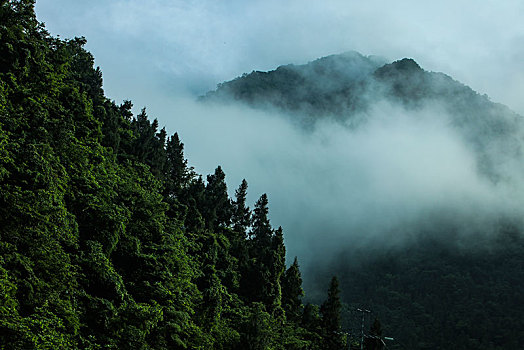 恩施,大山,湖北,山区,云海,云雾,高山,神秘,群山,山峰,鄂西