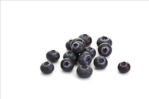 蓝莓,欧洲越桔