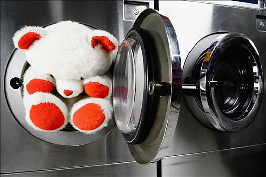 泰迪熊,洗衣机,自助洗衣店