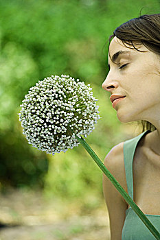 女人,嗅,葱属植物,花,闭眼,侧面
