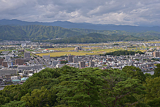 斑点,五台山,日本