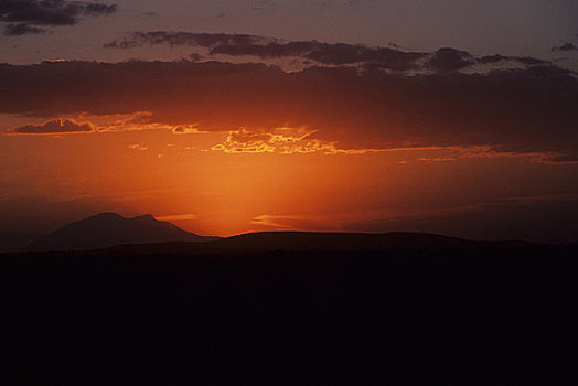 肯尼亚,安伯塞利国家公园,日落
