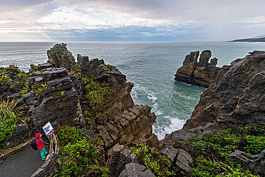 砂岩,石头,岩石构造,薄烤饼,帕帕罗瓦国家公园,西海岸,南部地区,新西兰,大洋洲