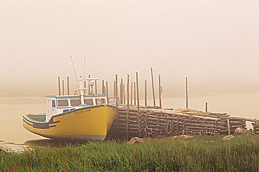 船,港口,雾,新斯科舍省,加拿大