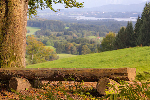 简单,木制长椅,娱乐,风景,巴伐利亚