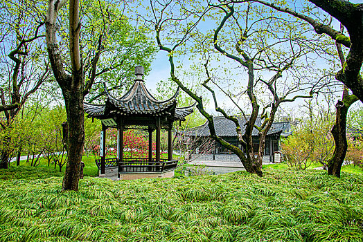 杨州瘦西湖园林中的亭台楼阁