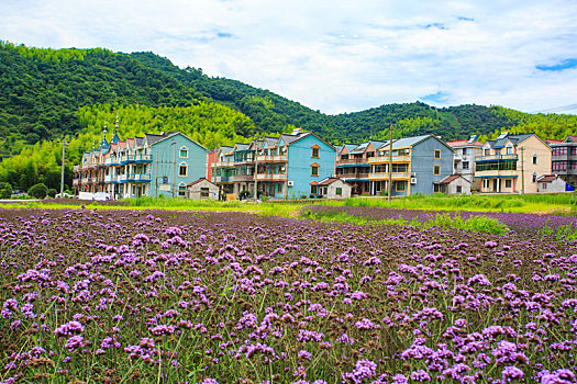 田园,民居,乡村,房子,草地,绿色