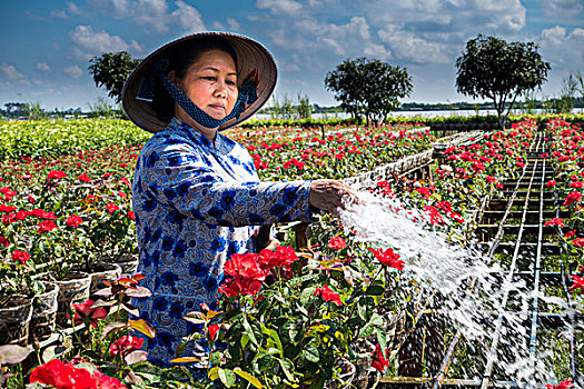 工作,浇水,花,菜园,长,湄公河三角洲,越南,亚洲