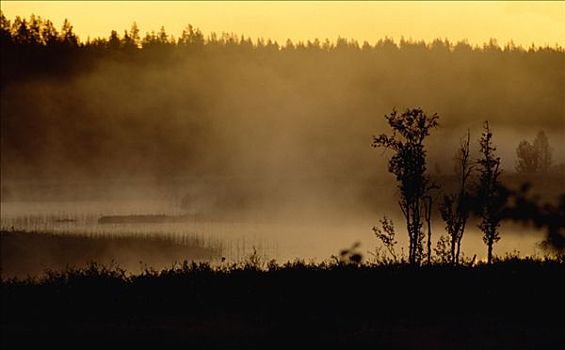 午夜,湿地,瑞典