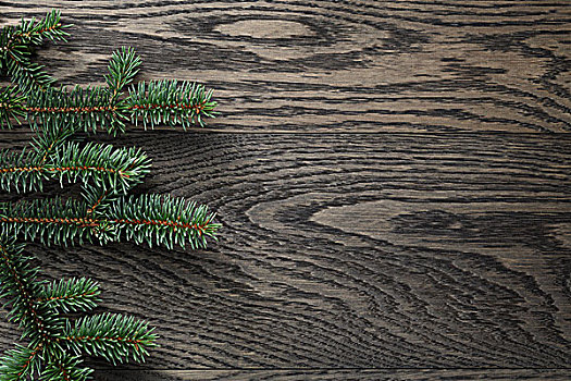杉枝,弄脏,橡树,桌子,俯视,圣诞节,背景