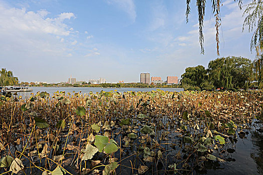 湖面风景