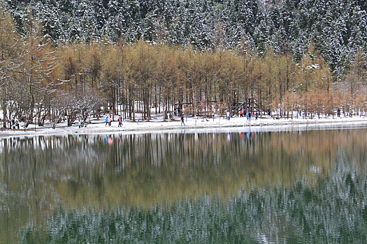 毕棚沟,川西,四姑娘山,雪山,高原彩林