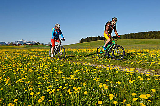 骑车,电,自行车,靠近,区域,上巴伐利亚,巴伐利亚,德国,欧洲