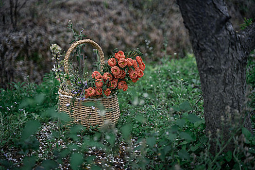 花园里绿草地上放着柳条编成的复古篮子和一束橙色的花