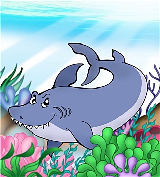 大,蓝鲨,水下