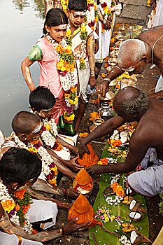 大宝森节,节日,泰米尔纳德邦,印度南部,印度,亚洲