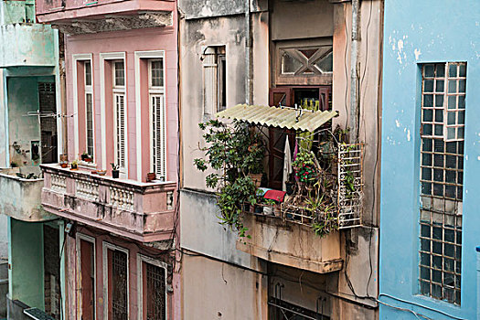 古巴,哈瓦那,餐馆,楼梯,洗衣服,内庭,位置,建筑,氛围,影象,20年代