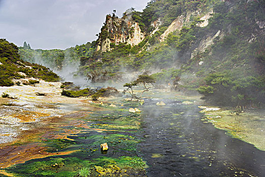 温泉,火山,山谷,罗托鲁瓦,丰盛湾,北岛,新西兰