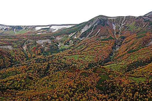 秋色,山