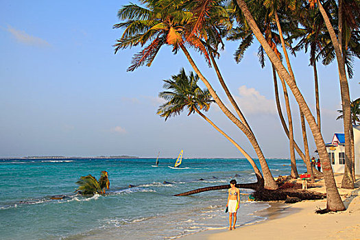 马尔代夫,岛屿,海滩,女人,帆板