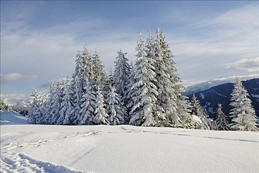 积雪,阿尔卑斯山,奥地利