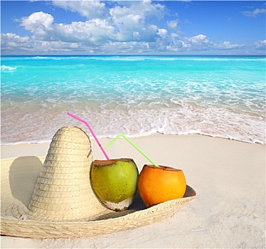 椰子,加勒比,海滩,墨西哥,阔边帽,帽子