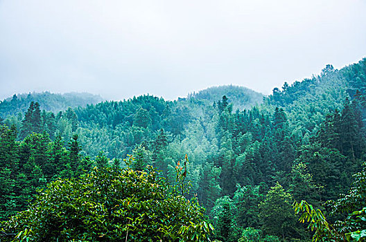 雨雾山景