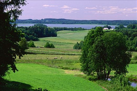 乡村,拉脱维亚