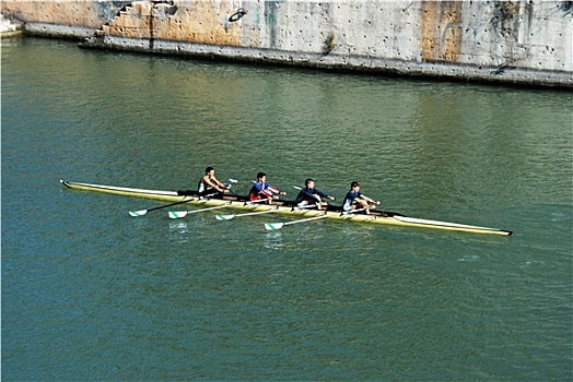 桨手,瓜达尔基维尔河,西班牙,塞维利亚